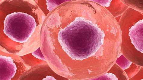 center   atom called