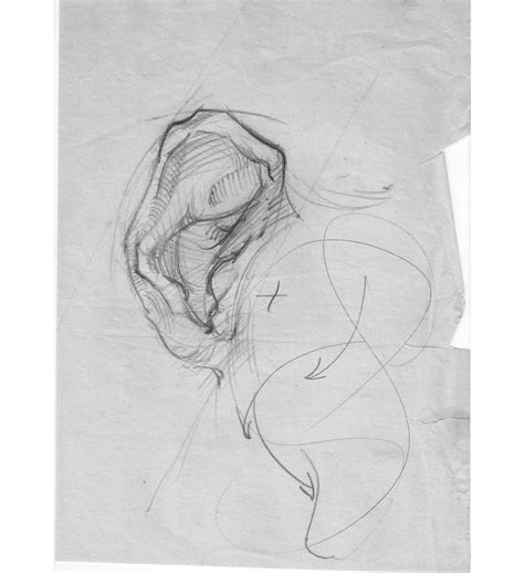 Academic drawing | Julia Kargina