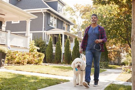 Total Hip Replacement - International Hip Dysplasia Institute