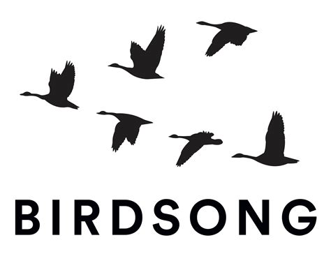 Birdsong Sebastian Faulks 3