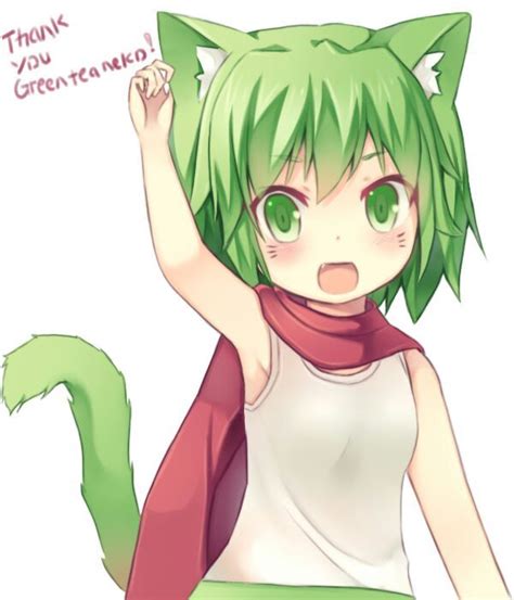 GreenTeaNeko | Anime Amino