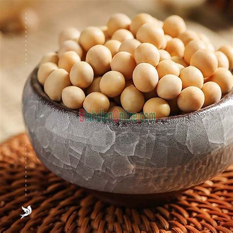 dau nanh dau tuong trong tu nhien hat lon