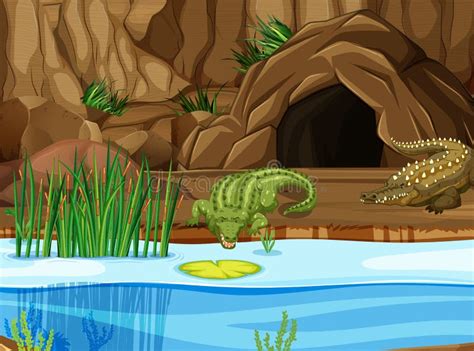 Crocodilo Ilustrações, Vetores E Clipart De Stock – (14,958 Stock ...