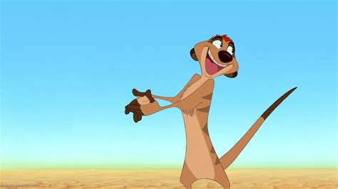 Timon - Disney Wiki