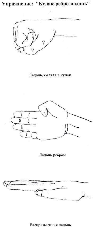 Упражнение: «Кулак-ребро-ладонь» | Контент-платформа Pandia.ru