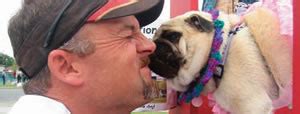 true  false dog mouths cleaner  human mouths