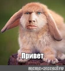 Meme: "Привет" - All Templates - Meme-arsenal.com