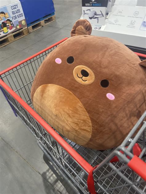 Why searching costco business near me is sparking a major debate 25