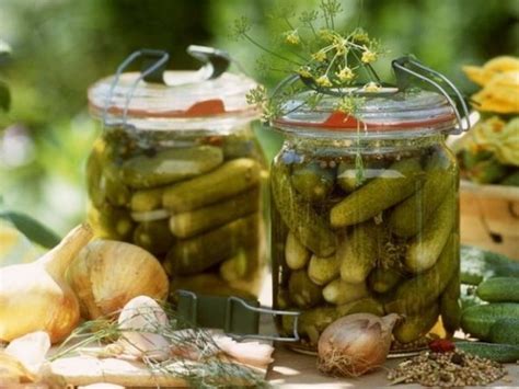 Засолка огурцов на зиму холодным и горячим способом: рецепты в банках ...