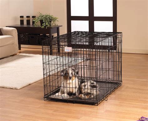 Midwest I-Crate Folding Dog Wire Crate, Collapsible with Divider Panel