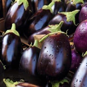Баклажан Черный красавец: описание сорта, фото кустов и полученного ...