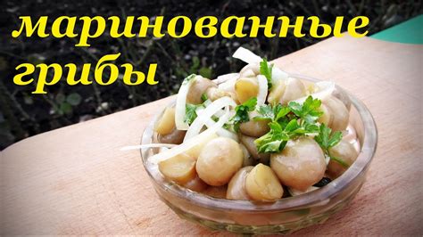 Рецепт маринованных грибов, быстрый вкусный и простой. - YouTube