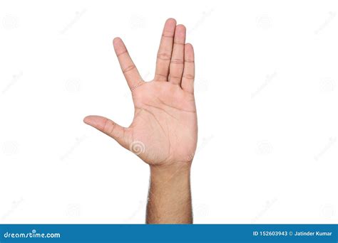 Bild der menschlichen Hand stockbild. Bild von geschäft - 152603943
