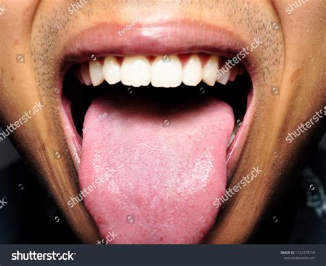 52,142 Mouth open tongue Images, Stock Photos & Vectors | Shutterstock