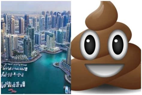 Dubai Porta Potty: Another Lady Shares Her Very Nasty Encounter - Crime ...