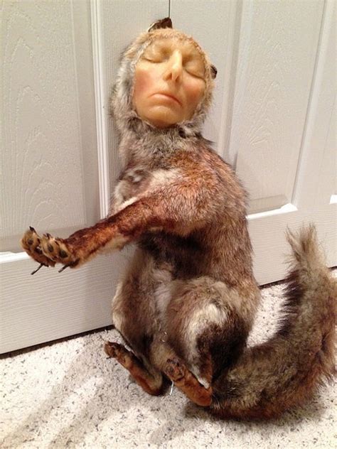 Taxidermy Human Head