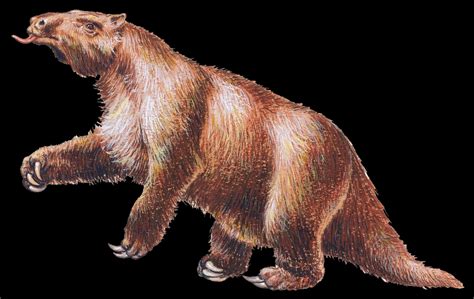 megatherium burrowing monster sloths  universal story