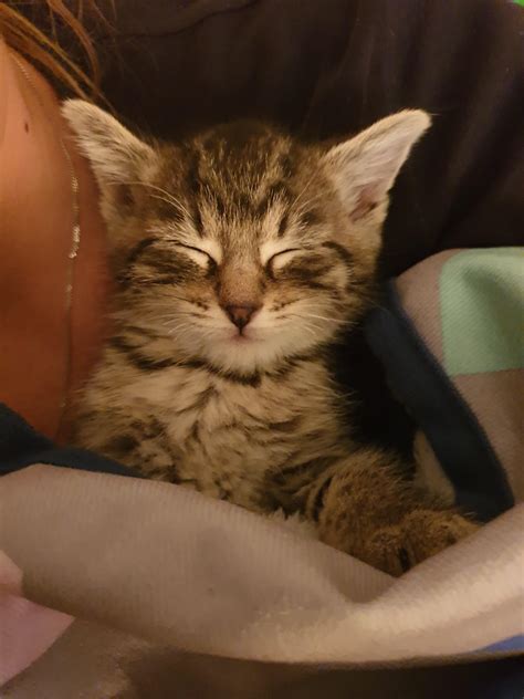 Rocky's first night at his new home. : aww