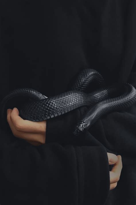 Matte Black Snake 🐍🖤 | Dark aesthetic, Instagram popular, Black