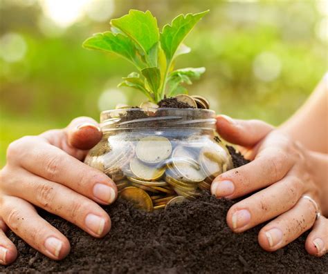 ways    money safe premier community bank