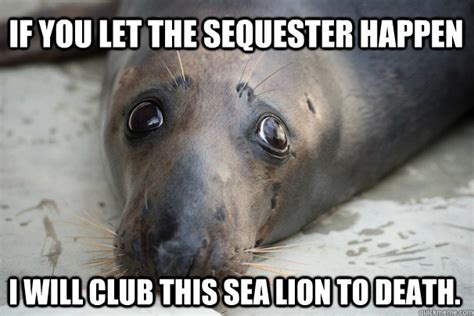 Sequester Sea Lion memes | quickmeme