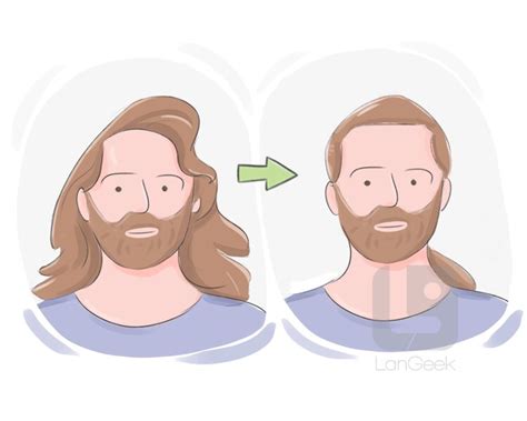 definition meaning  slicked langeek