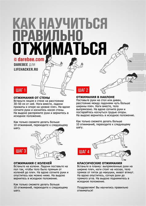 ИНФОГРАФИКА: Как девушке научиться отжиматься | Ejercicios, Salud, Humor