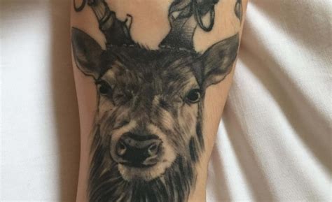 23 Best Stag Head Tattoo Designs and Ideas - PetPress