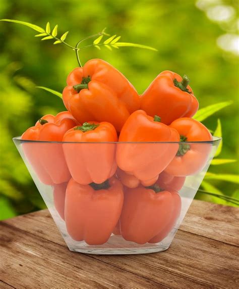 Delicious Stuffed Peppers