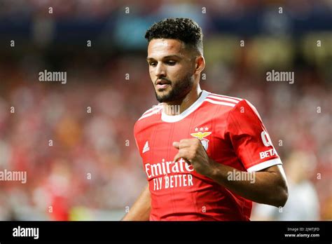 goncalo ramos benfica september   res stock photography