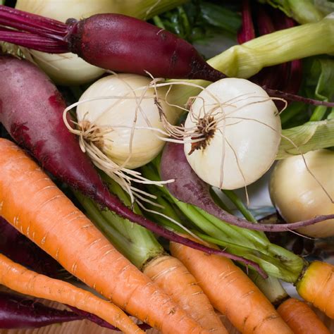 home growdata developments