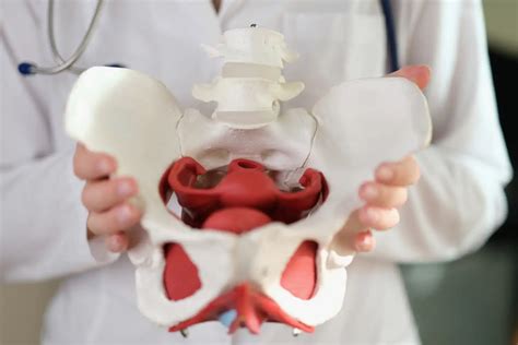 physiotherapy     manage  pelvic pain invigorate