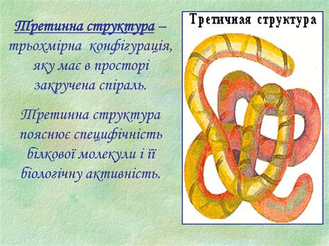 Презентація"Білки:склад, структура, властивості"
