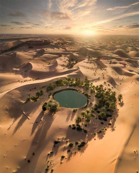 Tiny oasis in the Egyptian desert | Deserts of the world, Siwa oasis, Egypt
