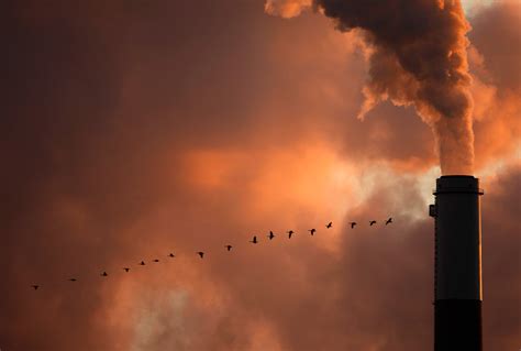 Study: People of color breathe more polluted air, regardless of income ...