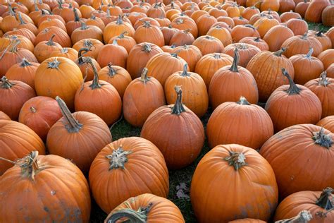 titus will toyota of tacoma 2