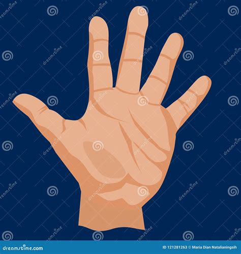 The Five Finger stock vector. Illustration of hand, parts - 121281263