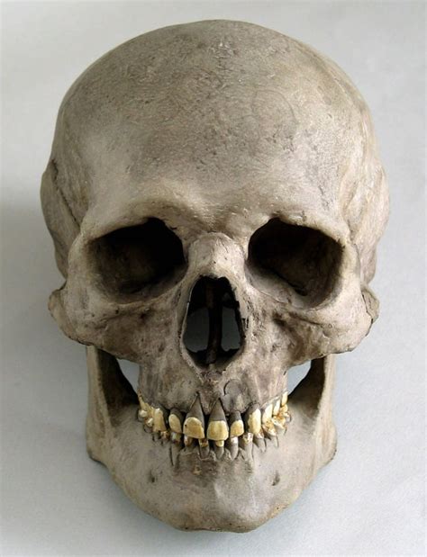 Skull wallpapers, CGI, HQ Skull pictures | 4K Wallpapers 2019