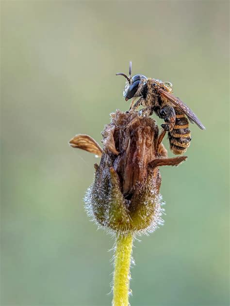 Micro+Bikinis+Gifs Photos, Download The BEST Free Micro+Bikinis+Gifs