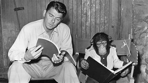 Bedtime for Bonzo (1951) — The Movie Database (TMDB)