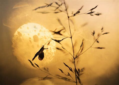 I Love To Photograph In The Morning Or Evening, Here Are 30 Of My Shots ...