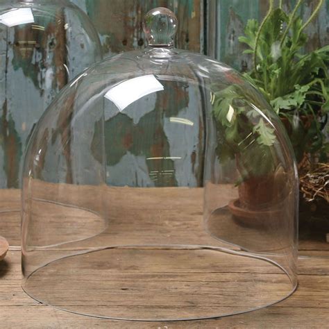 Clear Glass Cloche Dome | Glass dome cloche, Glass cloche, Large glass dome