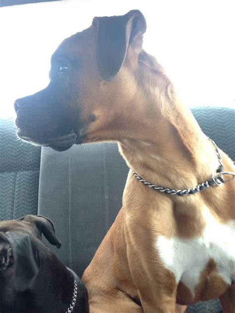 Is This The Biggest Nala Fitness Scandal EVER? The Truth Might Surprise You Image 12