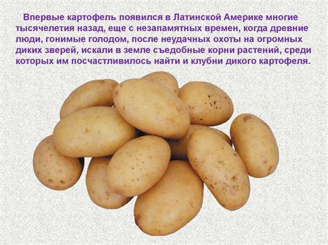 Растения-переселенцы - презентация онлайн