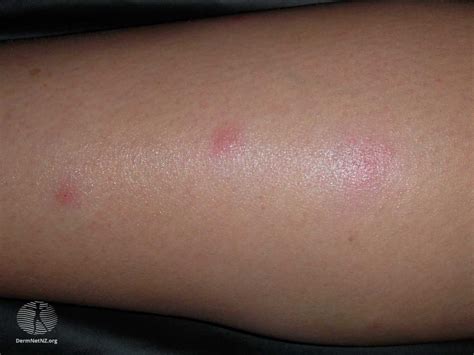 bite tu dien toan dien nghia cach dung thanh ngu va vi du