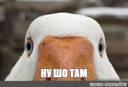 Meme: "НУ ШО ТАМ" - All Templates - Meme-arsenal.com