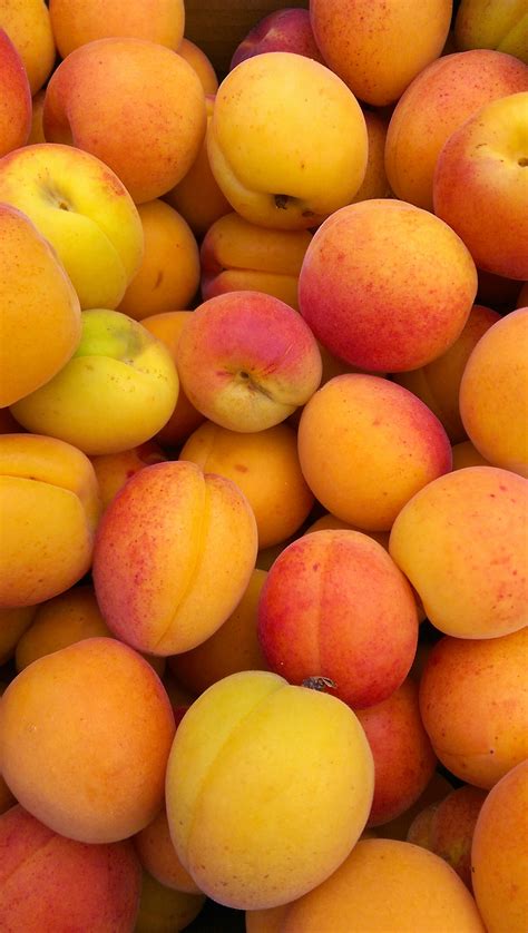 images fruit orange food red harvest produce fresh yellow