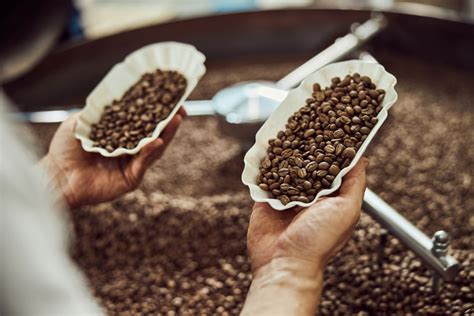 Kenapa Kopi Rasanya Pahit? Inilah Jawabannya! | BITKA ORIGIN Coffee ...