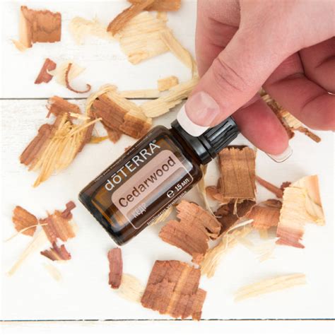 Эфирное масло кедра | Эфирные масла doTERRA