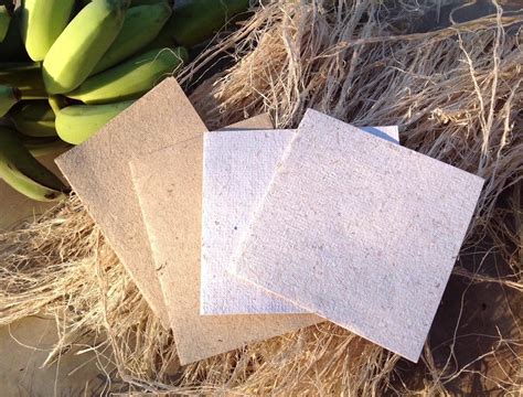 bananas   sustainable paper